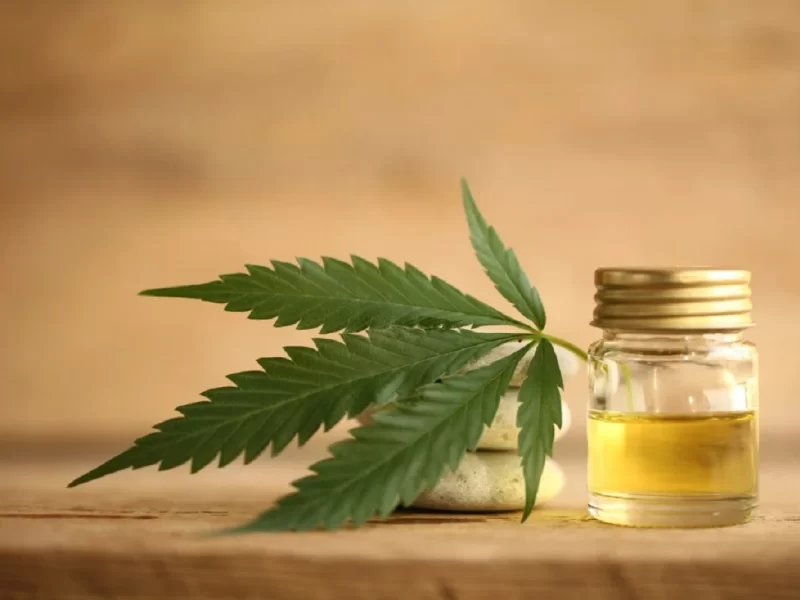 Pet Care: Trusted CBD Oil Canada for Your Furry Friends' Health