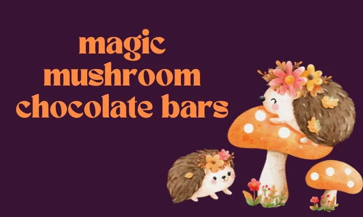 Mindful Indulgence: How Magic Mushroom Chocolate Bars Enhance Mental Clarity