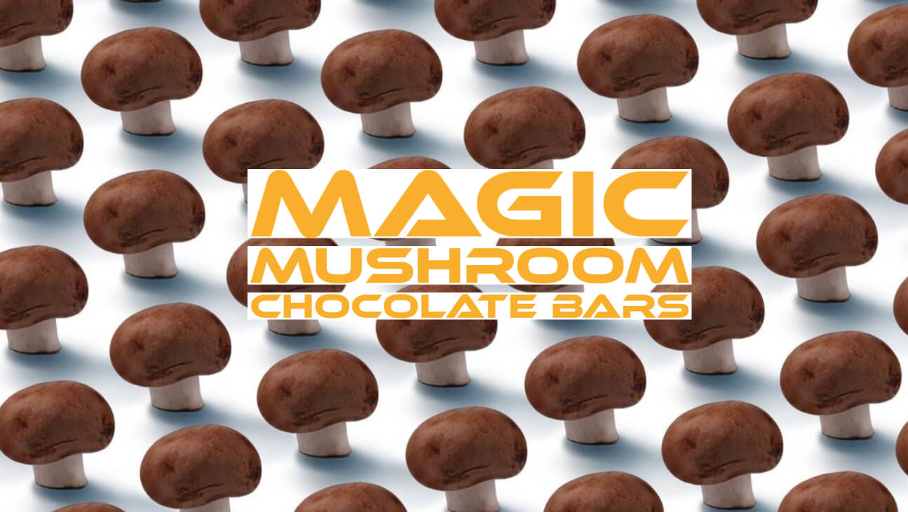 magic mushroom chocolate bars